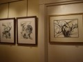 dsc 0031 1804 800 600